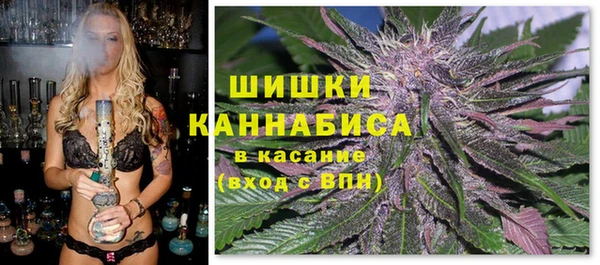 соль ск Бронницы