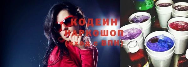 мдпв Бородино