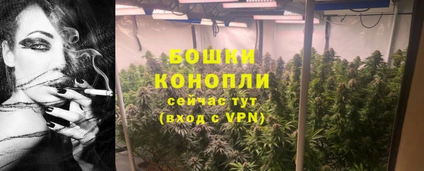 мдпв Бородино