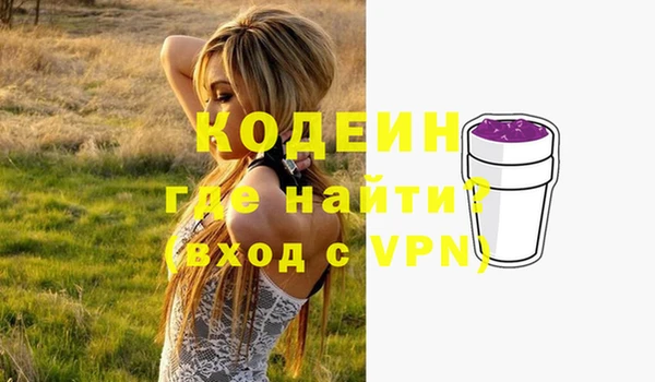 мдпв Бородино