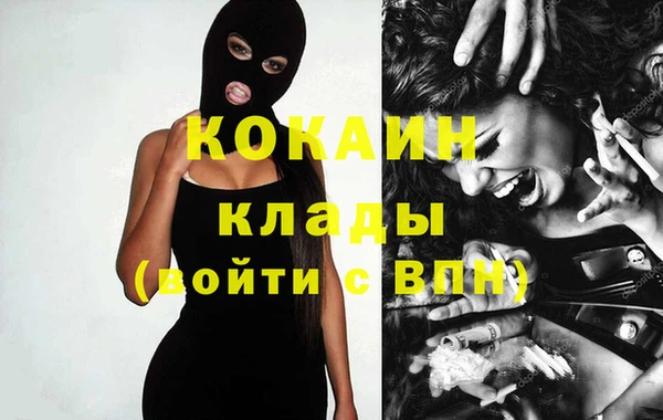 мдпв Бородино