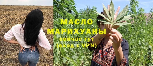 мдпв Бородино