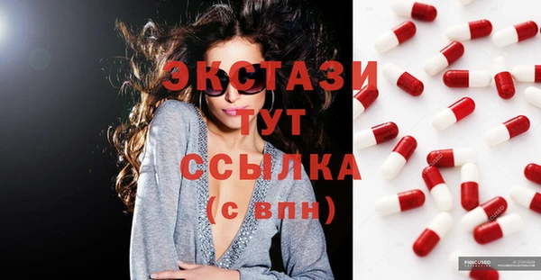 мдпв Бородино