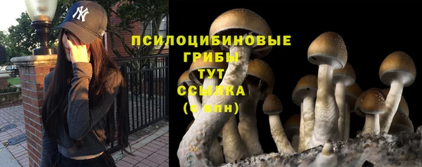 соль ск Бронницы