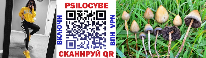 дарк нет официальный сайт  Городовиковск  Галлюциногенные грибы Cubensis 